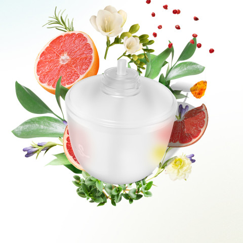 Perfumes para el hogar SIMPLEWAY difusor de fragancias aromaterapia ambientador